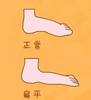 步前鞋学步鞋机能鞋有什么区别 刚刚学走路的宝宝怎么买鞋 步前鞋学步鞋机能鞋有什么区别 刚刚学走路的宝宝怎么买鞋