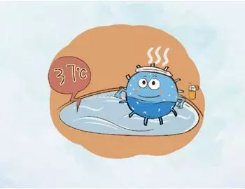 孩子吃什么类型的益生菌有用 什么益生菌是真正有效的