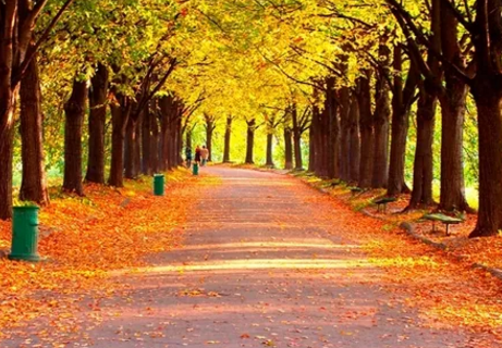 秋天来了朋友圈经典说说2019 秋天来了的配图文字 秋天来了朋友圈经典说说2019 秋天来了的配图文字