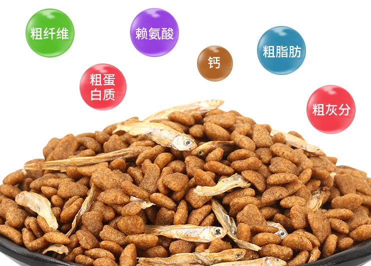 湿猫粮干猫粮是什么垃圾 湿猫粮干猫粮是干垃圾还是湿垃圾