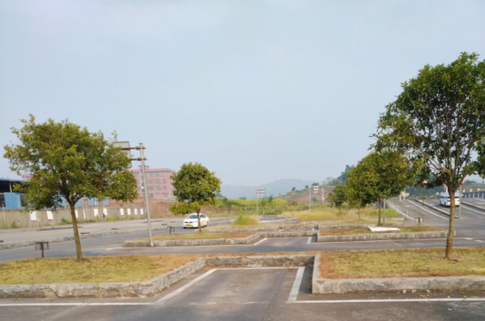 七夕与我无关说说 七夕与我无关心情感慨 七夕与我无关说说 七夕与我无关心情感慨