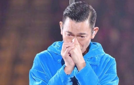 刘德华谈好演员标准说了什么 刘德华好演员的标准是什么