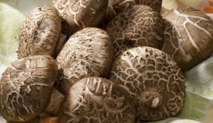 小孩子多吃香菇好吗 孩子长个头时要多吃香菇吗