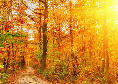 2019立秋朋友圈说说 立秋发什么说说好