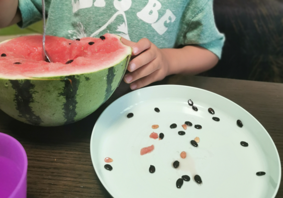 西瓜子是干垃圾还是湿垃圾 怎么区分西瓜子是什么垃圾 西瓜子是干垃圾还是湿垃圾 怎么区分西瓜子是什么垃圾