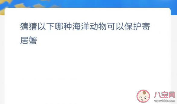 猜猜以下哪种海洋动物可以保护寄居蟹 神奇海洋12月10日答案