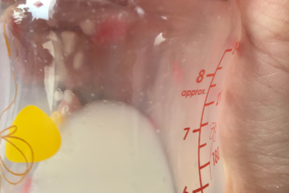 佳贝艾特羊奶粉2段怎么样 佳贝艾特羊奶粉2段挂壁吗