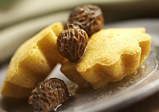 孕妇可以吃羊肚菌吗 孕妇吃羊肚菌的好处 孕妇可以吃羊肚菌吗 孕妇吃羊肚菌的好处