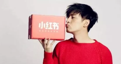 小红书被下架是因为虚假笔记太多吗 苹果系统ios也会下架小红书吗 小红书被下架是因为虚假笔记太多吗 苹果系统ios也会下架小红书吗