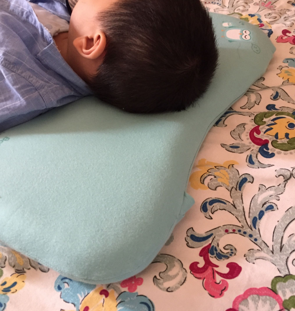 楠野爸爸宝宝枕头宝宝喜欢吗 楠野爸爸宝宝枕头有没有味道 楠野爸爸宝宝枕头宝宝喜欢吗 楠野爸爸宝宝枕头有没有味道