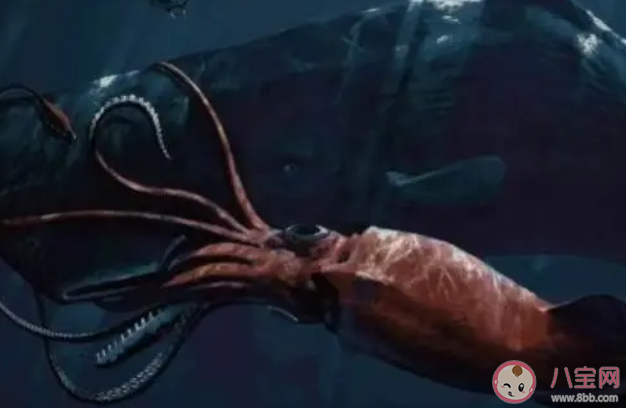 以下哪种海洋动物更擅长游泳 神奇海洋12月29日答案
