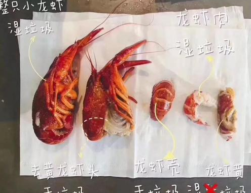 小龙虾是干垃圾还是湿垃圾 小龙虾壳是什么垃圾