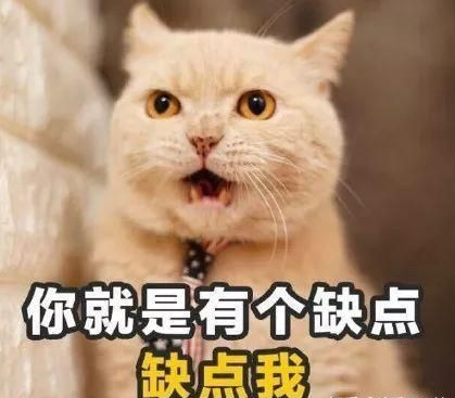 七夕土味情话大全 七夕表白土味情话句子 七夕土味情话大全 七夕表白土味情话句子