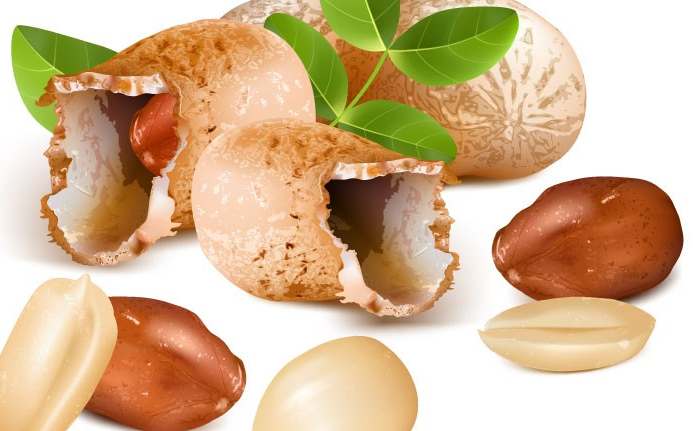 花生皮是什么垃圾 花生皮是干垃圾还是湿垃圾 花生皮是什么垃圾 花生皮是干垃圾还是湿垃圾