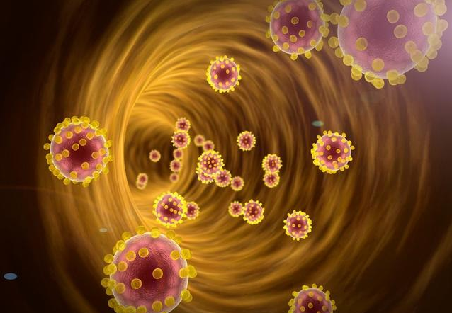 益生菌和益生元有什么区别 益生菌和益生元如何给宝宝选择 益生菌和益生元有什么区别 益生菌和益生元如何给宝宝选择