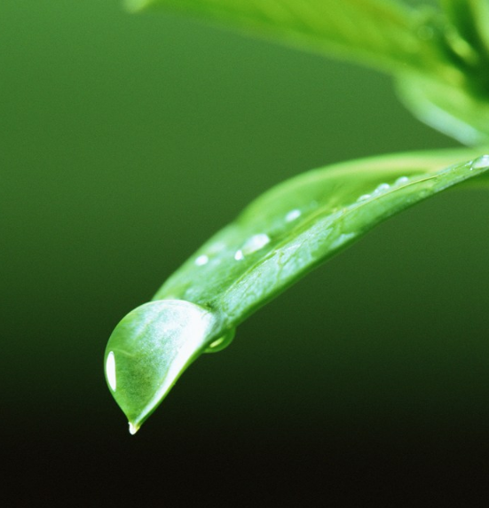 孩子每天喝多少水比较好 应该给孩子喝多少水 孩子每天喝多少水比较好 应该给孩子喝多少水