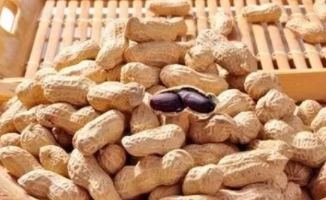 哺乳期吃花生下奶吗 哺乳期催乳汤怎么选择