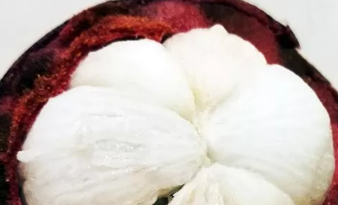 哺乳期能吃山竹吗 哺乳期吃山竹能吃几个