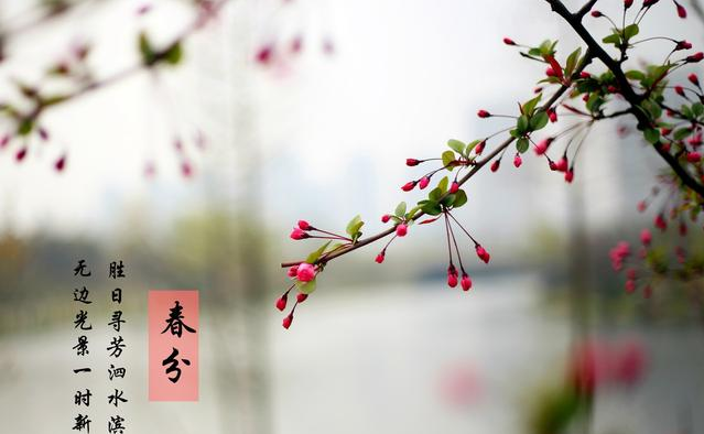 春分时节吃什么养生2019 春分养生攻略