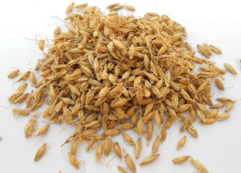 三星汤是什么成分组成的 三星汤的做法