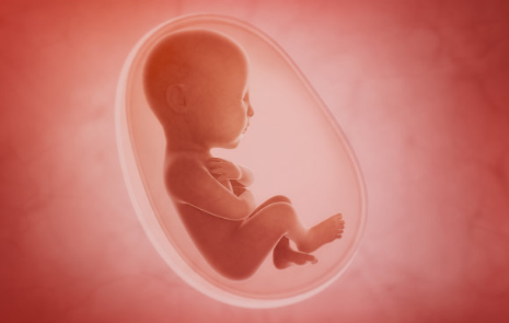 再馋也得忍住不吃的食物 这些食物会影响羊水的质量 再馋也得忍住不吃的食物 这些食物会影响羊水的质量