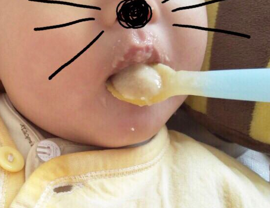 欧诺佳宝米粉怎么样 欧诺佳宝米粉试用报告