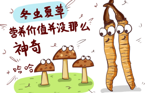 孩子能吃冬虫夏草吗 孩子吃冬虫夏草的危害