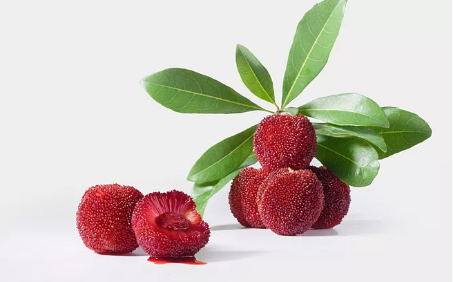 杨梅里为什么有白色虫子 杨梅里的白色虫子怎么清洗干净