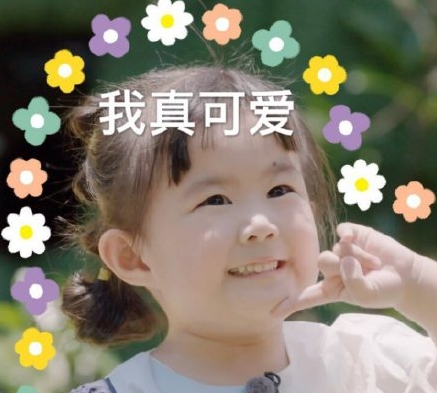 我们长大了大毛二毛个人资料 大毛二毛表情包合集 我们长大了大毛二毛个人资料 大毛二毛表情包合集