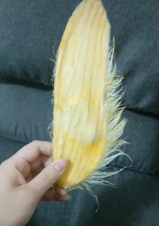 芒果核是干垃圾还是湿垃圾 芒果核是什么垃圾 芒果核是干垃圾还是湿垃圾 芒果核是什么垃圾