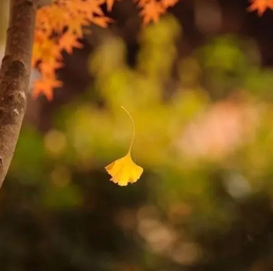 贴秋膘的搞笑说说 贴秋膘的搞笑心情句子