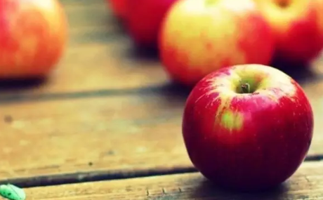 处暑过后吃什么水果好 处暑后养生水果推荐 处暑过后吃什么水果好 处暑后养生水果推荐