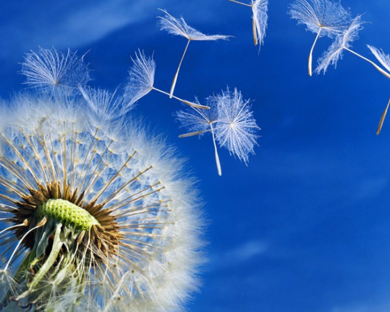  八月第一天早安心语 八月第一天说说图片