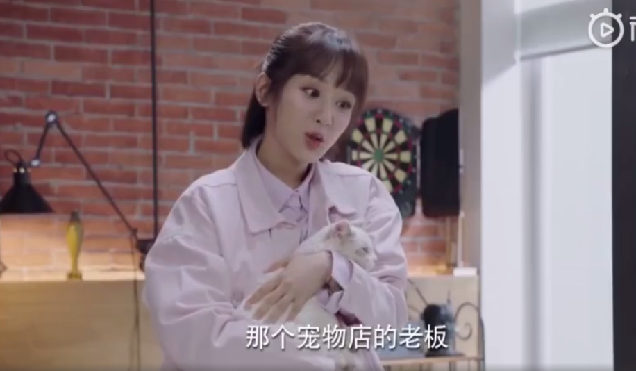 佟年送韩商言猫是哪一集 为什么佟年要送韩商言猫