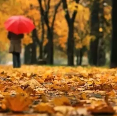 贴秋膘的搞笑说说 贴秋膘的搞笑心情句子