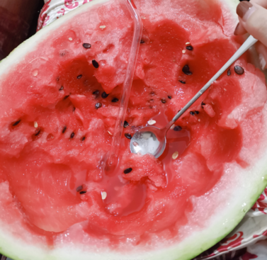 西瓜子是干垃圾还是湿垃圾 怎么区分西瓜子是什么垃圾 西瓜子是干垃圾还是湿垃圾 怎么区分西瓜子是什么垃圾