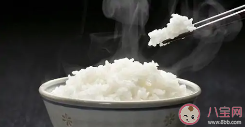 吃米饭有淡淡的甜味主要因为 蚂蚁庄园12月6日答案最新