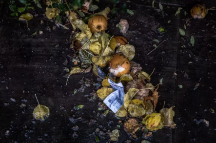 宜昌垃圾分类什么时候开始 宜昌垃圾分类标准是什么