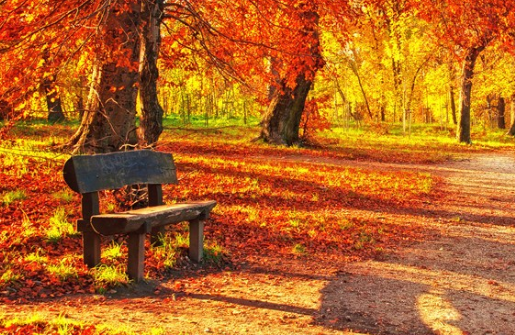 今日立秋说说心情配图 今日立秋了新开始感言
