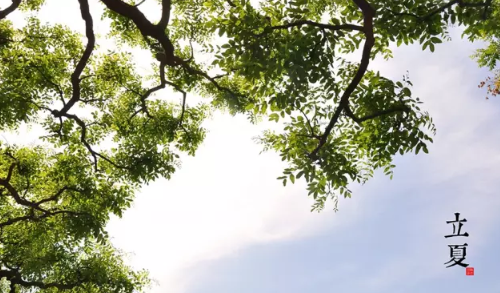 立夏宝宝养生吃什么好 立夏宝宝养生攻略 