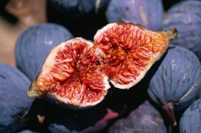 孕妇吃无花果可以去胎毒吗 孕妇怎么吃无花果比较好