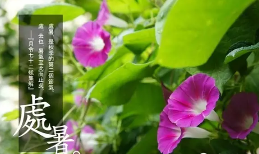 处暑吃什么传统食物 处暑节气养生食物推荐 处暑吃什么传统食物 处暑节气养生食物推荐