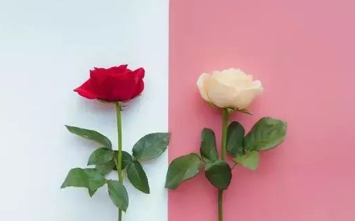 七夕秀恩爱句子简单 七夕朋友圈秀恩爱说说 七夕秀恩爱句子简单 七夕朋友圈秀恩爱说说