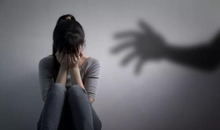 新城控股董事长猥亵女童案是怎么回事 新城控股董事长王振华个人资料