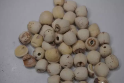 三伏天吃什么好 三伏天的饮食注意事项