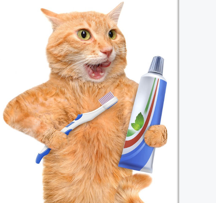 给宝宝买什么成分的牙膏比较好 适合宝宝刷牙用的牙膏需要含什么