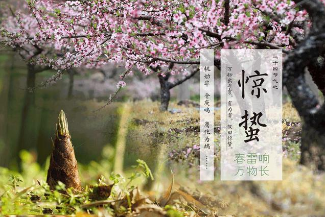 惊蛰时节吃什么传统食物 惊蛰养生要点 惊蛰时节吃什么传统食物 惊蛰养生要点