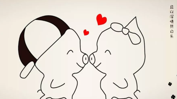 为什么都说猪宝宝好 为什么那么多人想要猪宝宝