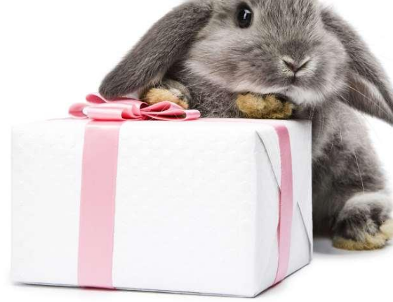  七夕想要礼物的句子 七夕想要礼物怎么发朋友圈 