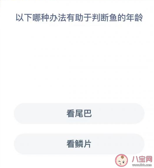 看鳞片看尾巴哪种办法有助于判断鱼的年龄 蚂蚁森林神奇海洋12月20日答案